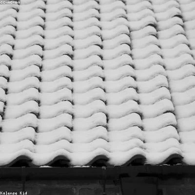 Standing-seam detail